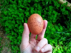 Featured post 6