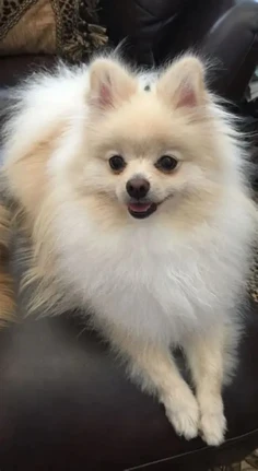 Featured post 1