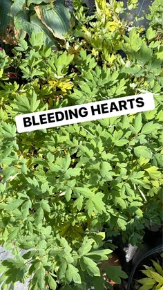 Featured post 1
