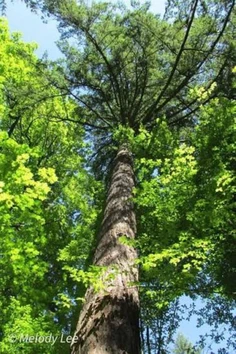 Featured post 1