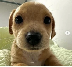 Featured post 4