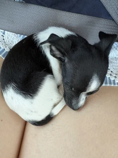 Featured post 1