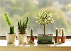 Featured post 1