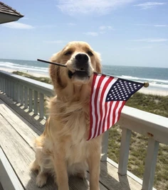 Featured post 1
