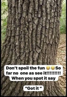 Featured post 2