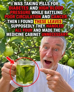 Featured post 1