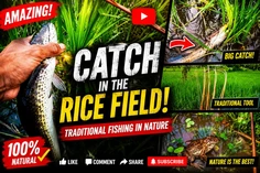 Featured post 5