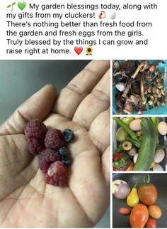 Featured post 2