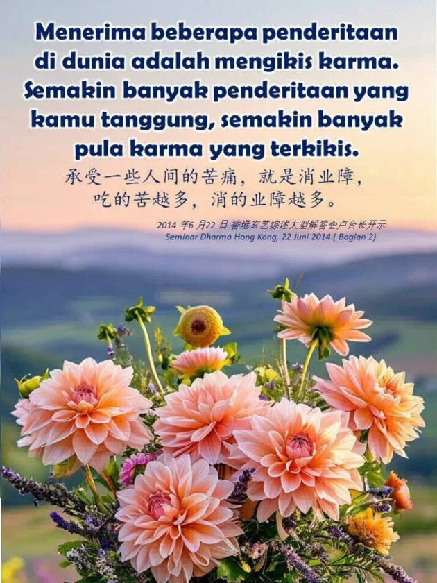 Faxo photo preview