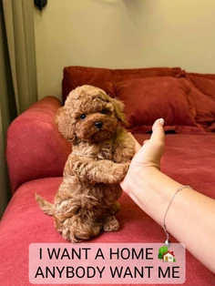 Featured post 1