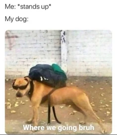 Featured post 1
