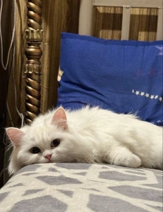 Featured post 2