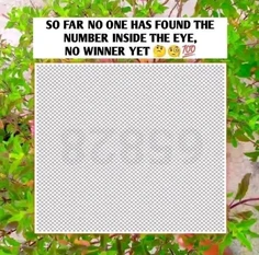 Featured post 2