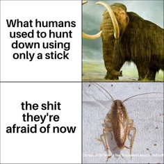 Featured post 1