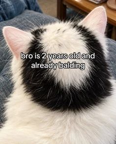 Featured post 1
