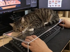 Featured post 6