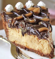 Hot Fudge Peanut Butter Pie