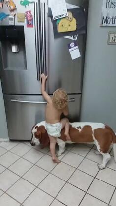 Team Work