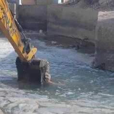 Excavator Saves Goat In Freezing Water