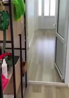 Lost My Glasses