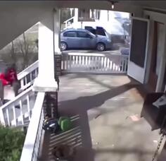DoorDash vs Dog