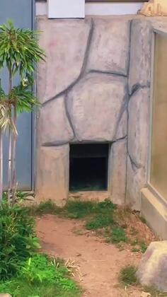 Featured post 1