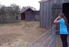 Donkey Reunited With Girl