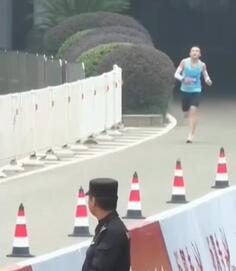 Cat Wins Half Marathon