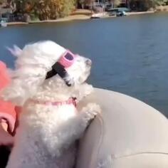 Flying Into The Weekend