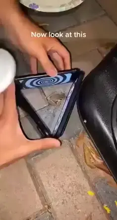 Hypnotizing A Frog - Fail