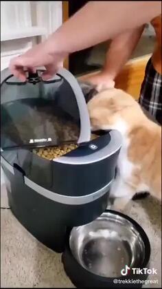 Professional Taste Tester