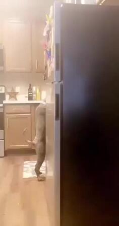 Ruh Roh Busted! Just Act Like Nothing's Going On