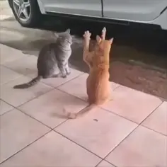 Featured post 1