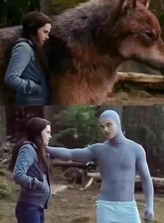 Bella Pets The Wolf