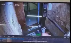 Security Guard Saves Woman's Life