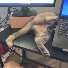 Tech Support Is Fixing My Problem