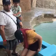 Giant Sea Lion Photobombs Family Photos