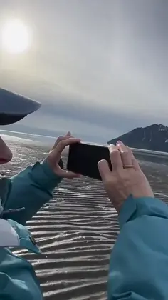 How To Handle A Charging Bear