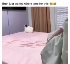 Featured post 1