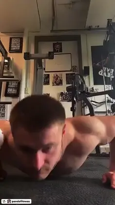 Cat Does Push-ups