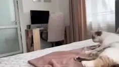 Featured post 1