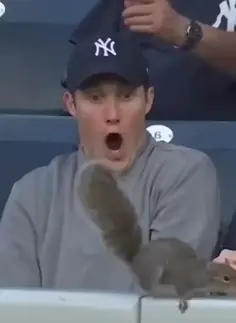 Slow Motion Squirrel At A Baseball Game