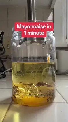 Mayonnaise In One Minute