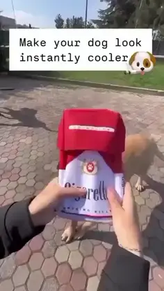 Featured post 3
