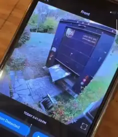 Smartest UPS Delivery With Dogs Ever 😭