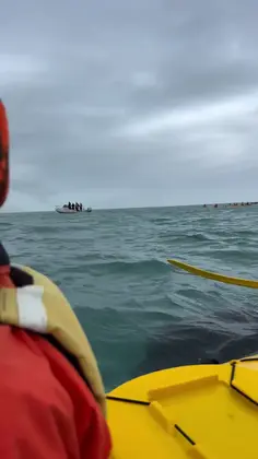 Kayaking with a Pod of Orcas in Kaikōura, New Zealand