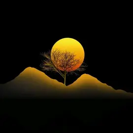Ihsan Ghani profile image