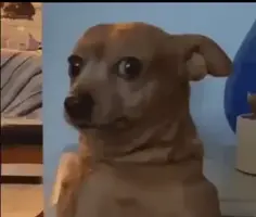 Featured post 1