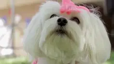 Featured post 2