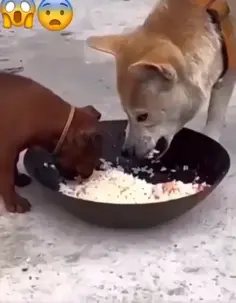 cuando nace un líder